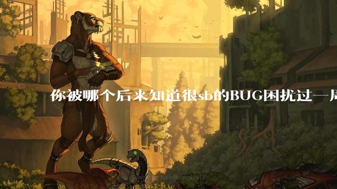 你被哪个后来知道很sb的BUG困扰过一周以上吗？
