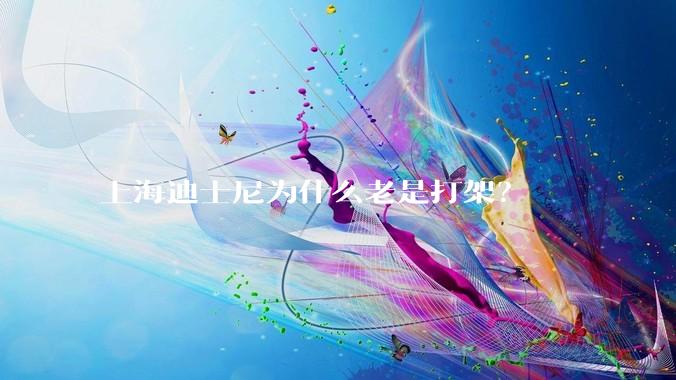 上海迪士尼为什么老是打架？