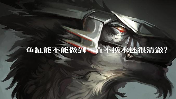 鱼缸能不能做到一直不换水还很清澈？