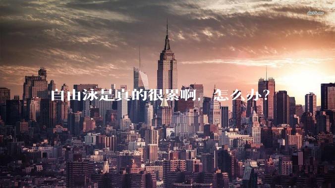 自由泳是真的很累啊，怎么办？