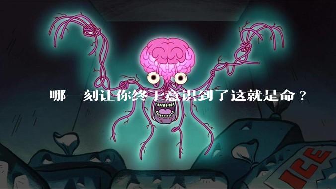 哪一刻让你终于意识到了这就是命?