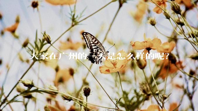 大家在广州的一天是怎么样的呢？