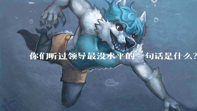 你们听过领导最没水平的一句话是什么？