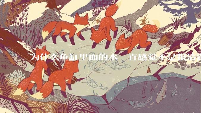 为什么鱼缸里面的水一直感觉不是很清澈呢？