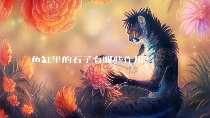 鱼缸里的石子有哪些作用？