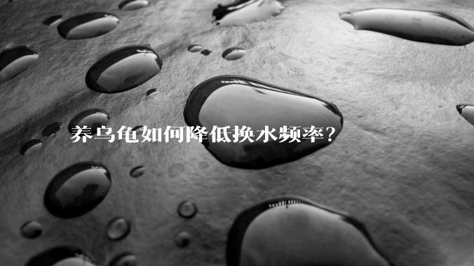 养乌龟如何降低换水频率？