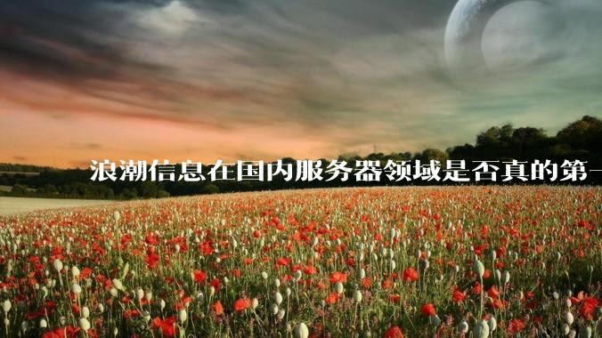 浪潮信息在国内服务器领域是否真的第一？