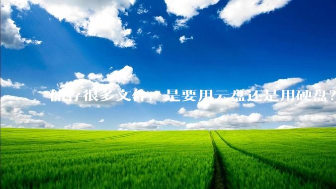 储存很多文件，是要用云盘还是用硬盘？