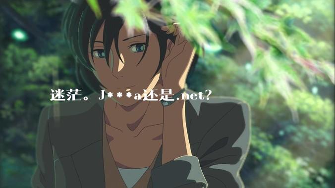 迷茫。J***a还是.net？