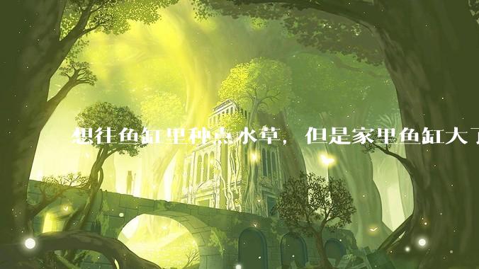 想往鱼缸里种点水草，但是家里鱼缸大了买水草泥或者底砂太贵了，有没有生活中可以替代的物品或其他建议？