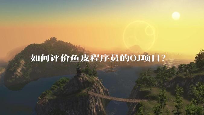 如何评价鱼皮程序员的OJ项目？