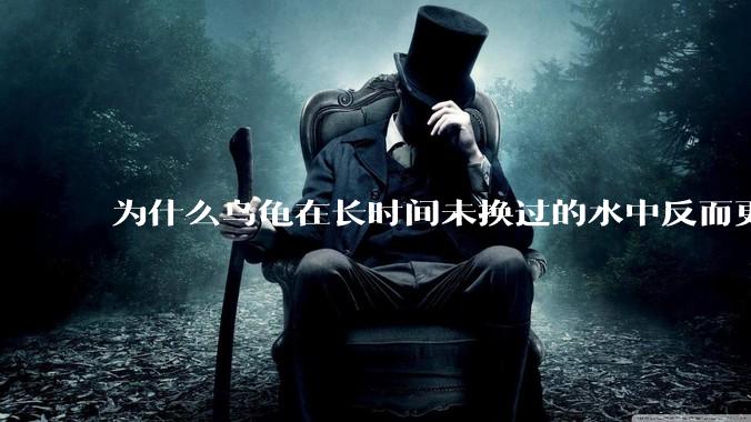为什么乌龟在长时间未换过的水中反而更活跃？