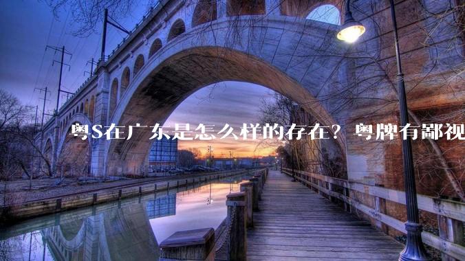 粤S在广东是怎么样的存在？粤牌有鄙视链吗？